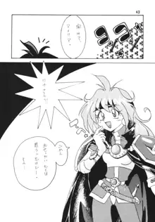 SLAYERS ADULT, 日本語