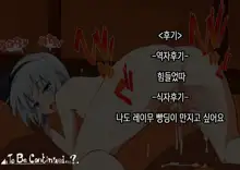 Touhou Saimin Inmakyou ~Suireiyou~, 한국어