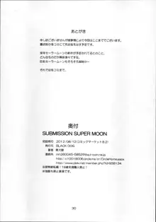 SUBMISSION-SUPER MOON 暫定版, 日本語