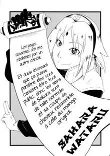 Haouju 2, Français