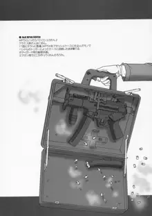 Girls Gotta Guns. Vol. 2, English