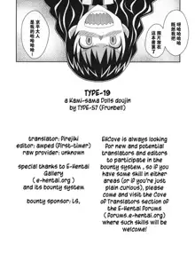 TYPE-19, 中文