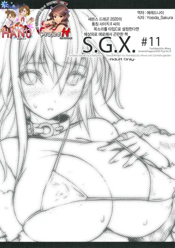 S.G.X. #11