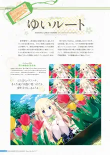 恋×シンアイ彼女 ビジュアルファンブック, 日本語