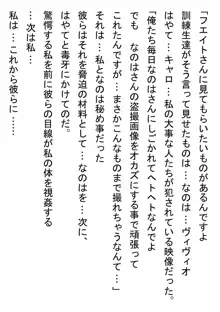 フェイトさんをレイプしたい!, 日本語