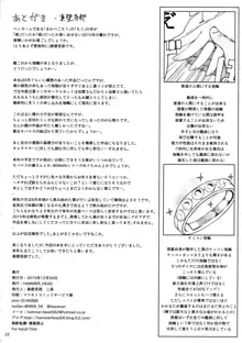 瑞鶴ノ極秘改装, 日本語