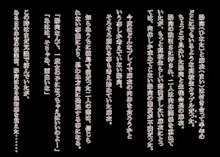 女性化彼氏をいじめちゃえ, 日本語