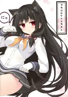 Isokaze Nekoka Sakusen, 中文