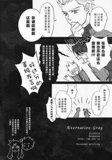 Alternative Gray, 中文