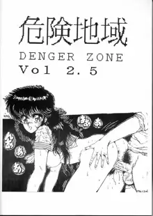 危険地域 DANGER ZONE 2.5, 日本語