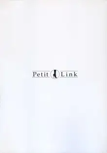 Petit Link 2, 中文