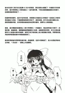 Touhou Youjo Ranbu 4, 中文