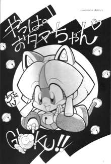 Samurai Pizza Cats Anniversary Memorial, 日本語