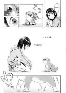 Inu no Kimochi Ii Vol. 001, 한국어