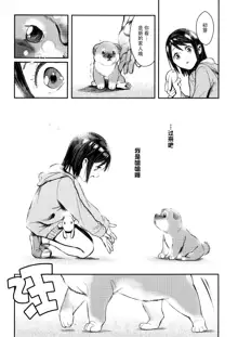 Inu no Kimochi Ii Vol. 001, 中文