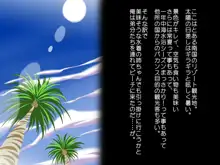 ジャパニーズ ニクベンキ ガール ～ひとりバカンスに来ていた爆乳日本オンナをチンポ大好き肉便器にしてやったZE！～, 日本語