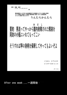 幻想郷性風俗事情, 日本語