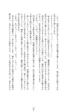 レオタード風紀委員長 御神楽月見, 日本語