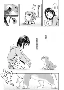 Inu no Kimochi Ii Vol. 001, 中文