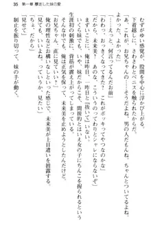 お兄ちゃんのことが好きすぎていっぱい性教育されたの!, 日本語