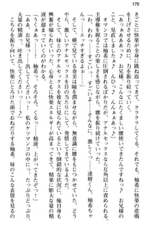 俺のメイドハーレムはいつだってご奉仕争奪戦です!, 日本語