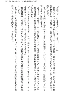 俺のメイドハーレムはいつだってご奉仕争奪戦です!, 日本語