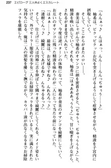 俺のメイドハーレムはいつだってご奉仕争奪戦です!, 日本語