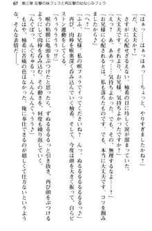 俺のメイドハーレムはいつだってご奉仕争奪戦です!, 日本語