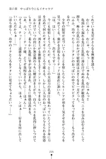 イチャプリ 憧れの姫騎士さまとラブ修行, 日本語