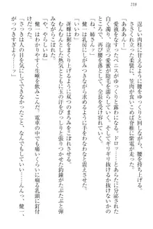 完全無欠のダメ姉ハーレム ねえ、ちゃんと面倒みなさい!, 日本語