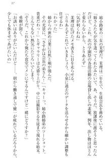 完全無欠のダメ姉ハーレム ねえ、ちゃんと面倒みなさい!, 日本語