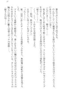 完全無欠のダメ姉ハーレム ねえ、ちゃんと面倒みなさい!, 日本語