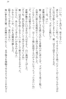 完全無欠のダメ姉ハーレム ねえ、ちゃんと面倒みなさい!, 日本語