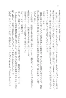 さいみん♥生徒会, 日本語