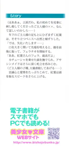 暗殺メイドはメロメロです, 日本語