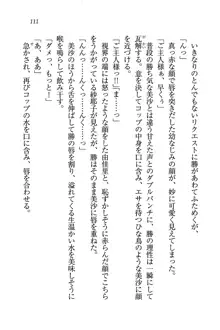 メイドなります!～おしおき, 日本語