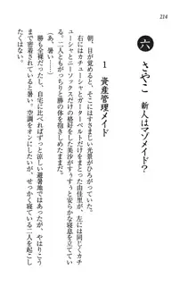 メイドなります!～おしおき, 日本語