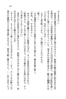 メイドなります!～おしおき, 日本語