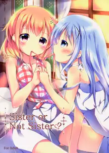 Sister or Not Sister??, 中文