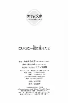 こいねこ～君に逢えたら, 日本語