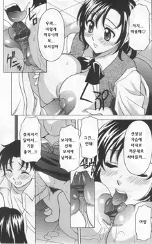 Boku no Sensei | 나의 선생님, 한국어