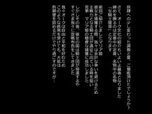 オーク村へようこそ！, 日本語