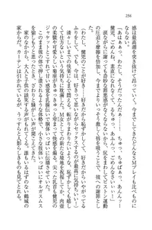 ツンマゾ! ツンなお嬢様は、実はM, 日本語