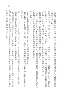 お嬢様☆メイド化計画, 日本語