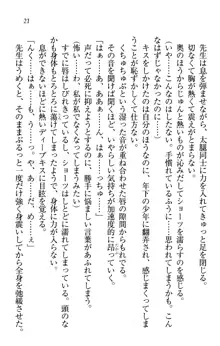 センセイは俺の嫁!?, 日本語