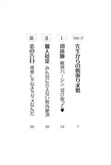 センセイは俺の嫁!?, 日本語