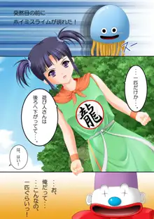 DQIII女武道家～触手陵辱～, 日本語