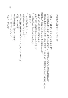 お兄ちゃんと兄様、好き好き大好き好き好き, 日本語