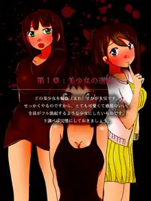 美少女輪姦マニュアル-可愛い女の子をみんなで輪姦(まわ)そう!-, 日本語