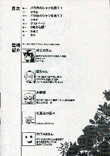 バラ色のシャツを着て。, 日本語